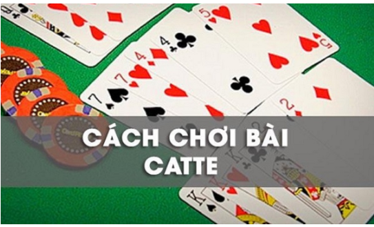 Bỏ túi cách chơi bài Catte tại nhà cái uy tín 6686 expess luôn thắng đối thủ